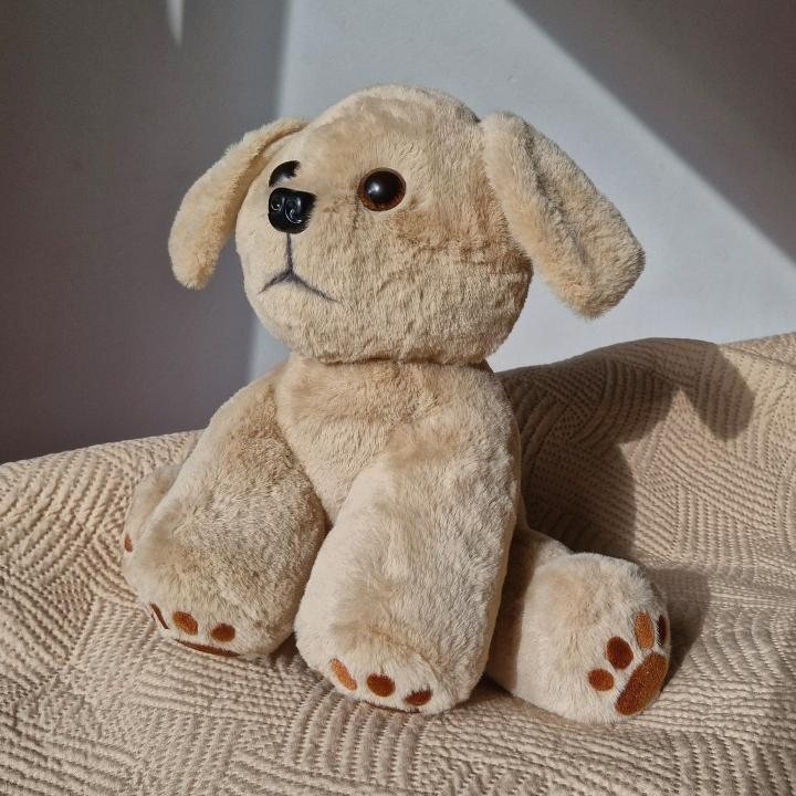 Cookie plišanac iz profila