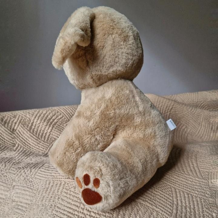 Cookie plišanac straga